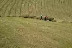 Bergland-wirtschaft